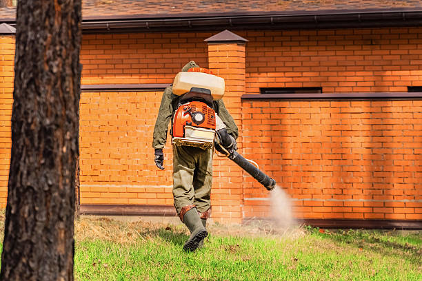 Trusted Cockroach Control service in Loxahatchee Groves, FL - Nex Pest Control